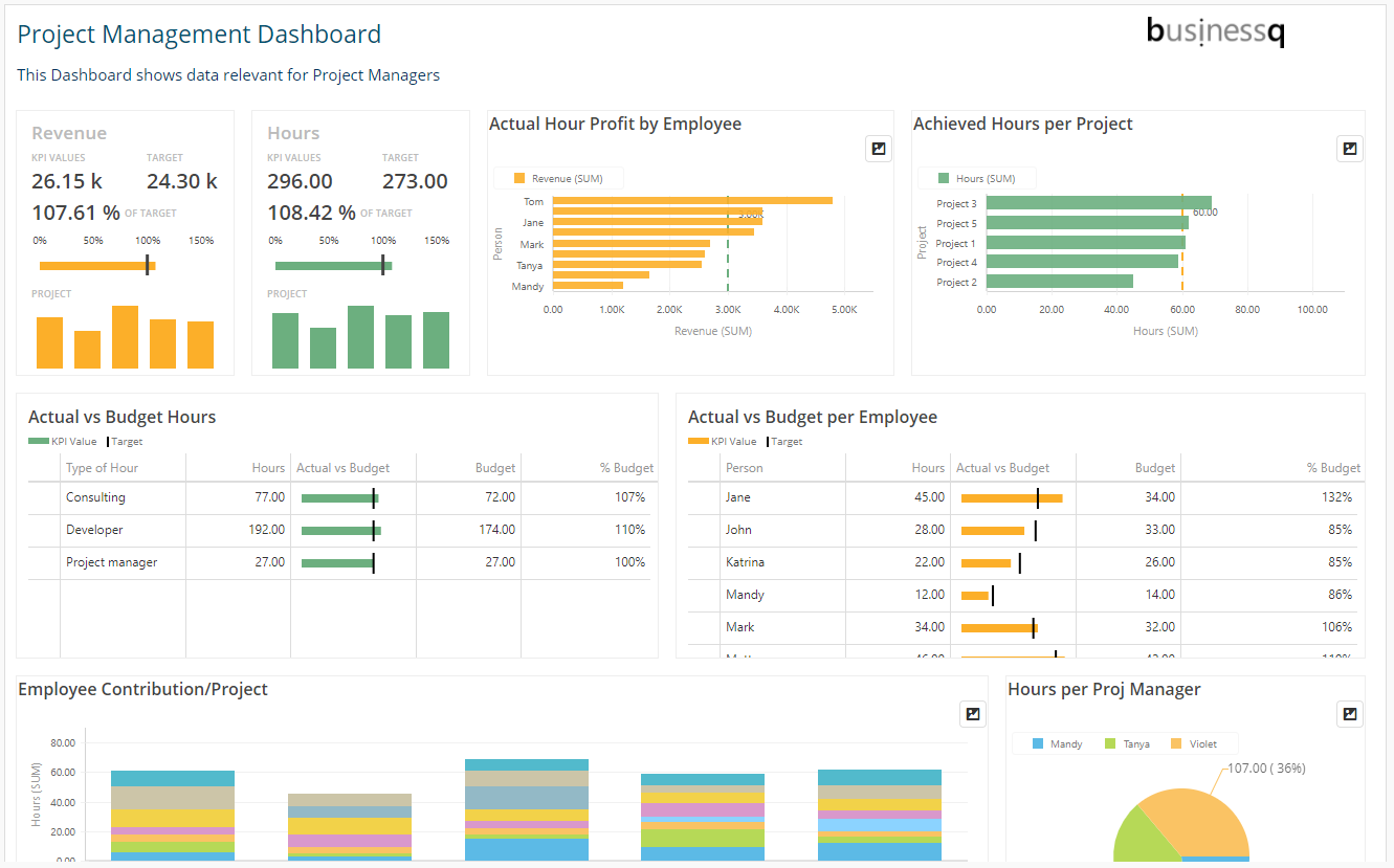 project management software dashboard